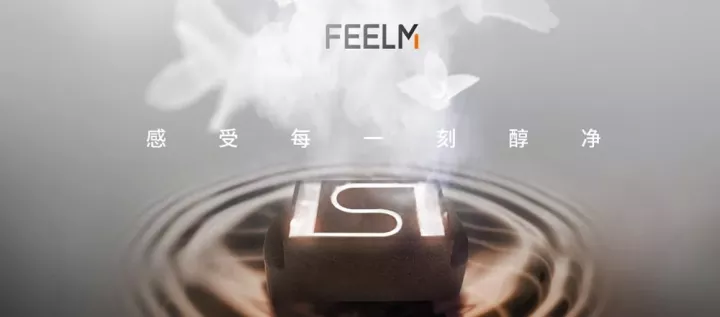 FEELM电子烟官网价位(怎么使用FEELM电子烟说明书图解)