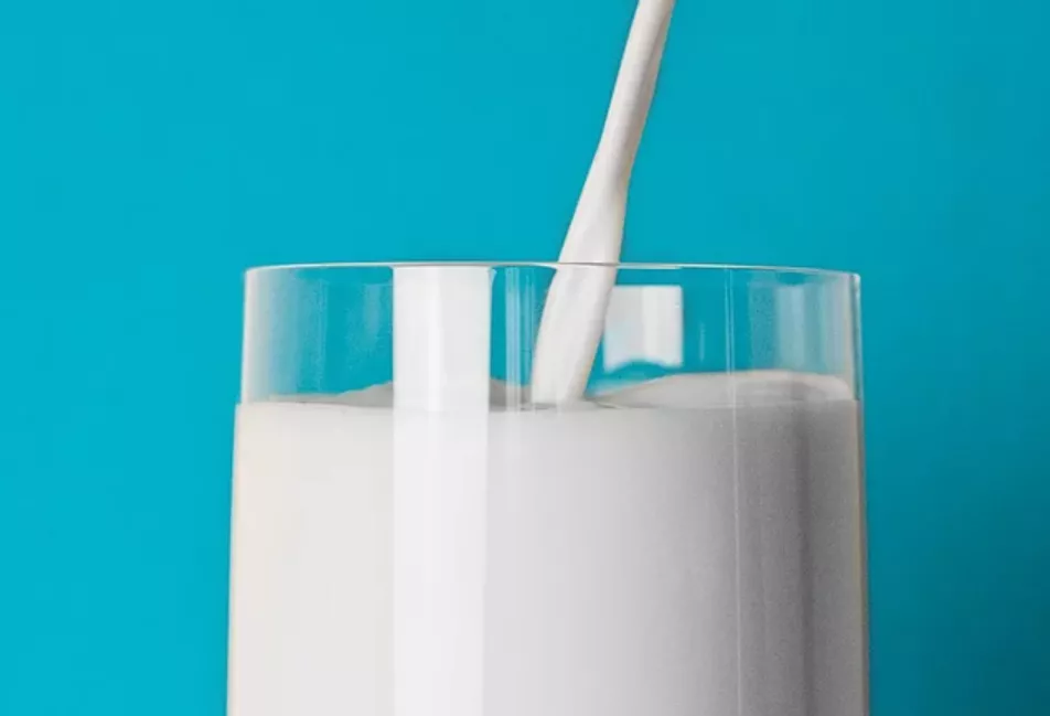 纯牛奶和鲜牛奶有啥区别？哪种包装的牛奶更好？