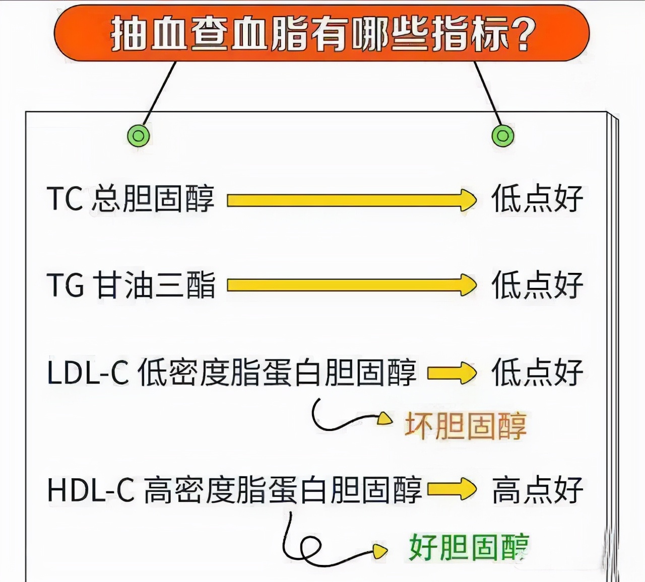 胆固醇和甘油三酯都是血脂！哪一项更重要？心血管医生有答案