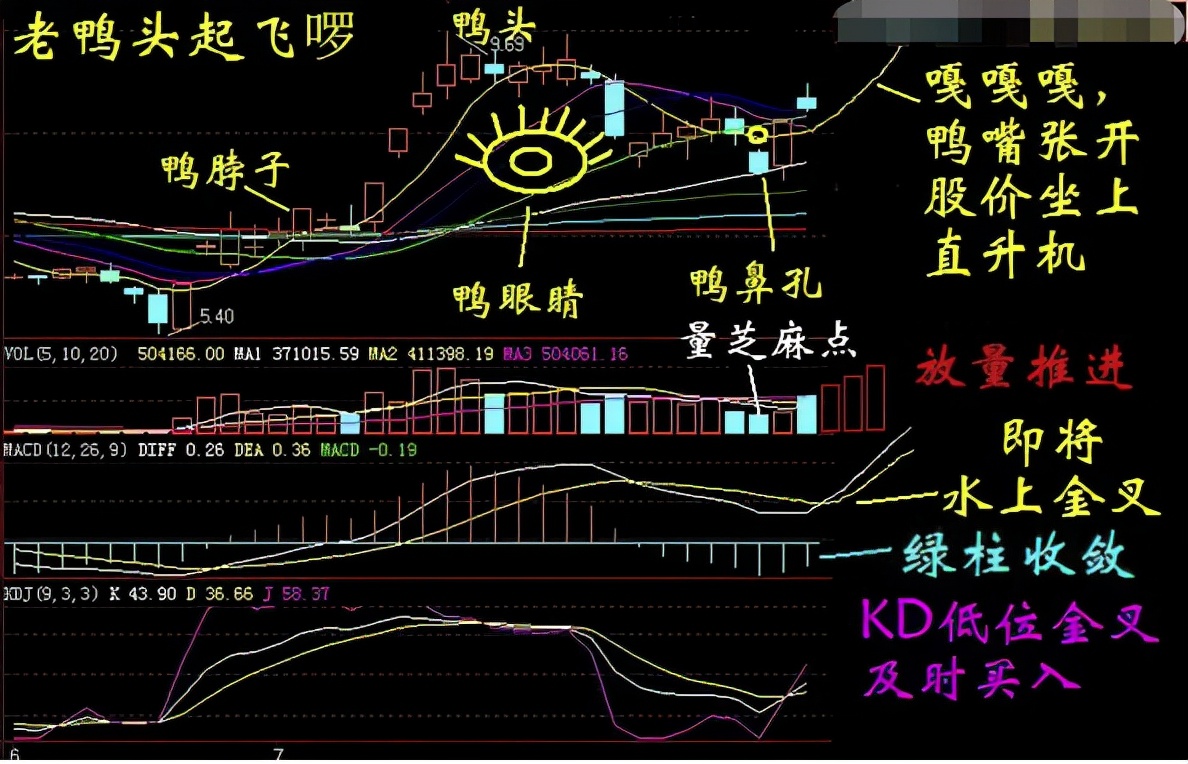 休市福利（20211204）：具有“老鸭头”形态的五大个股参考