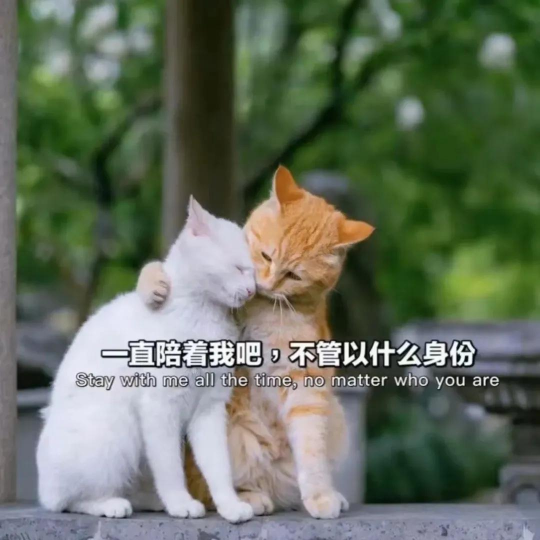 你们心心念念的抖音热门背景图来了