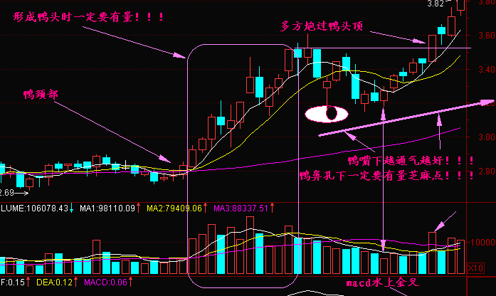 教你学技术—老鸭头