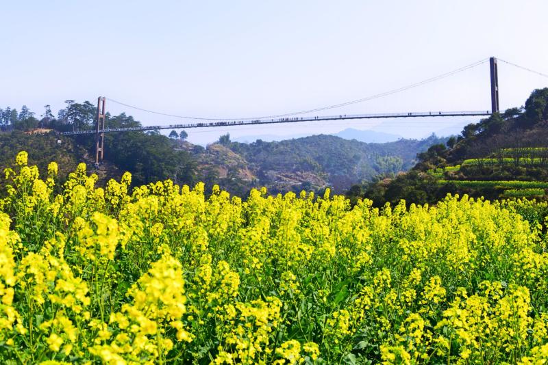 冬天国内风景绝美的自驾游好去处推荐