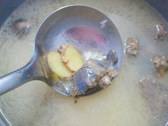 鸽粥，海口十大小吃之一，清香甜美，简单做法
