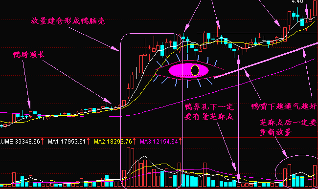 教你学技术—老鸭头