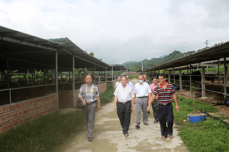 大叔回乡发展鸵鸟养殖，年收纯利润破一千万元，带动村民共同致富