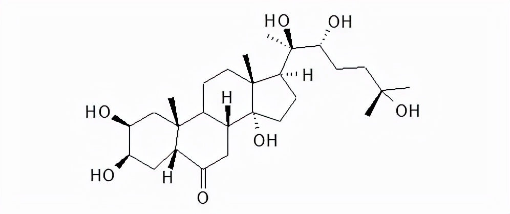 芸苔素怎么选？哪种芸苔素最好？看完这篇一定有用