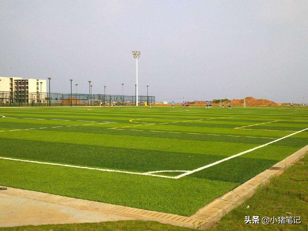 人造草坪标准 11 人制足球场尺寸