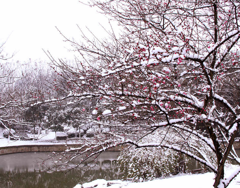 解梦：梦见下厚雪，恭喜你，最近运势不错