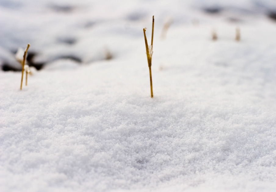 解梦：梦见下厚雪，恭喜你，最近运势不错