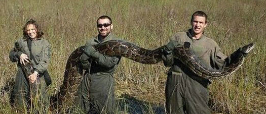 世界十大最巨大的蟒蛇！最长的十几米！