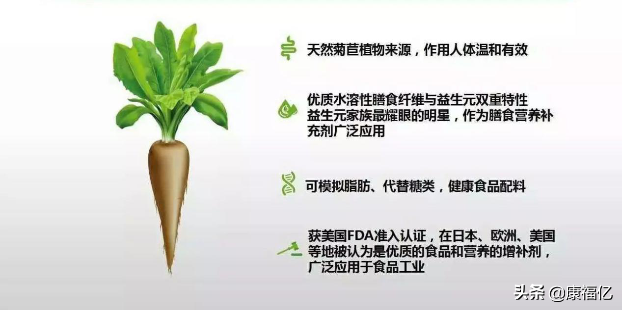 康福亿健康小知识：菊粉是什么，功效与作用如何