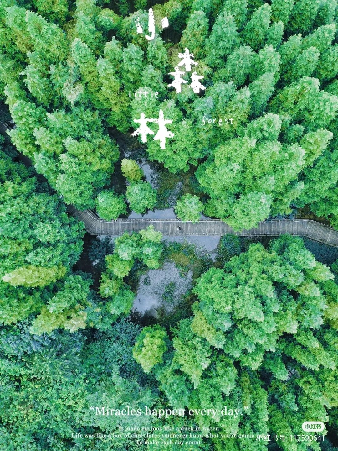 成都周边10处踏青好耍地！徒步吸氧赏花，全都免费