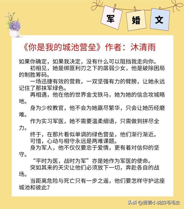 5本超赞的军婚文推荐，男主雅痞专情军官，唯独将她宠成小公主