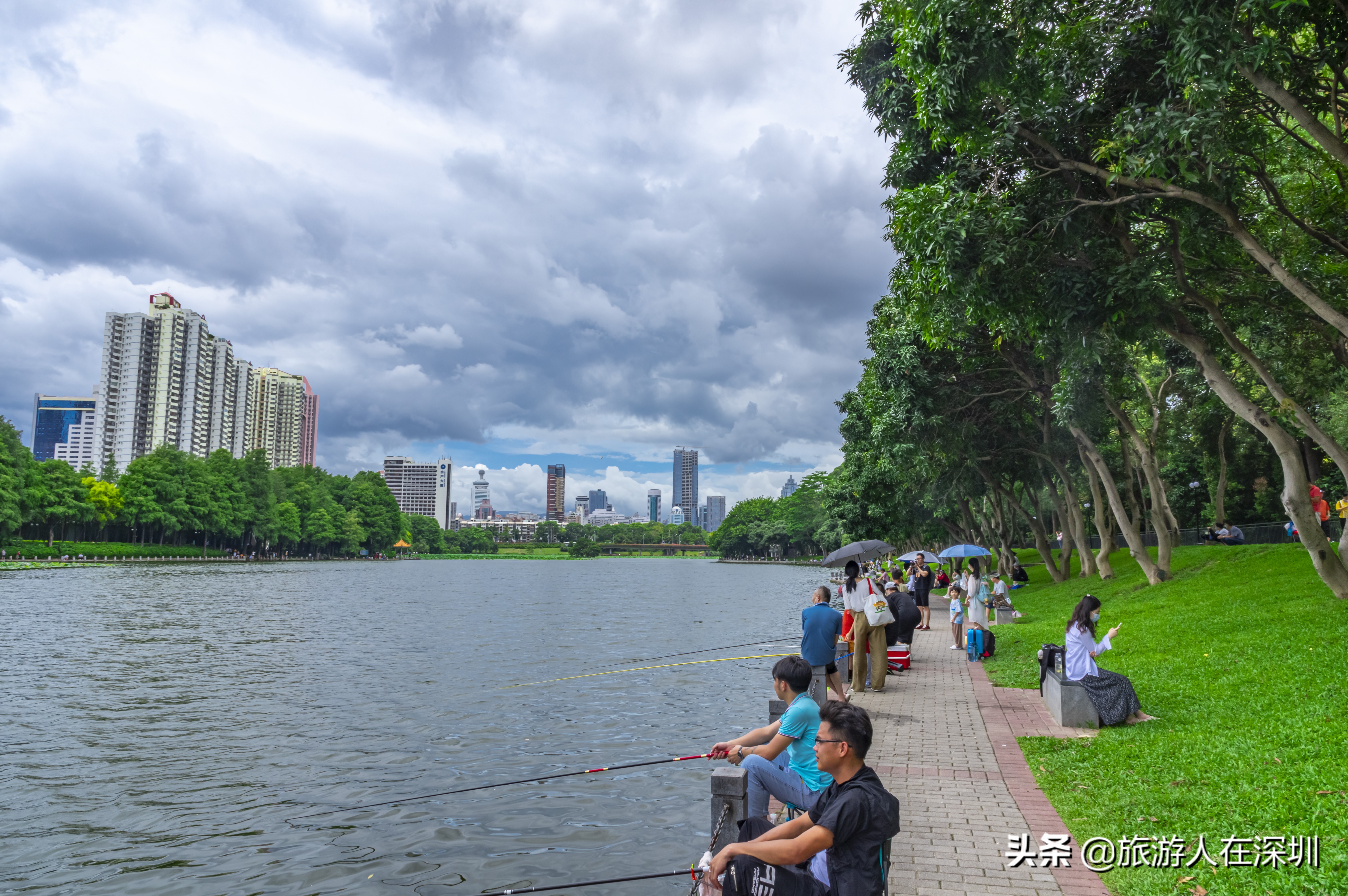 实拍深圳洪湖公园，作为一个网红生态公园，是休闲娱乐的最佳去处