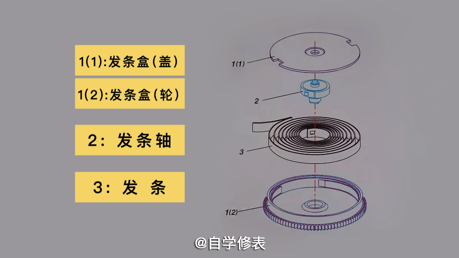 自制透明手表发条盒，结构原理看得明明白白