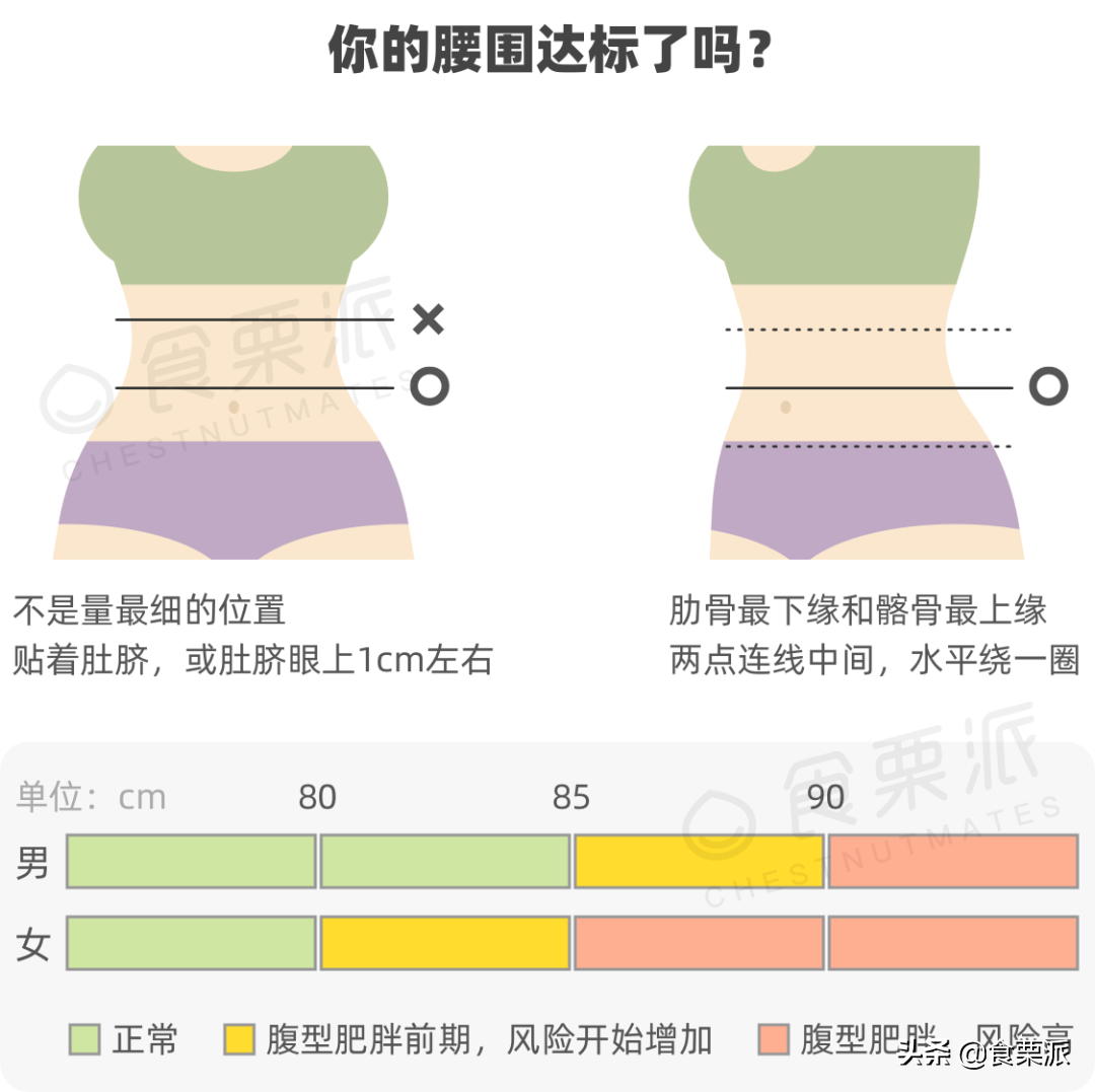 最新腰围标准出炉，快看看你达标了没