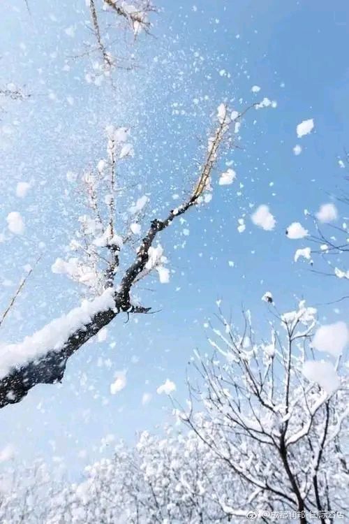 散文：今日大雪，素雪成章