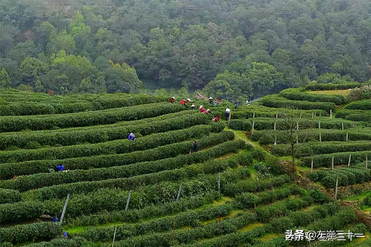 浙江特产有哪些？答：浙江人杰地灵，物产丰富，特产数不胜数