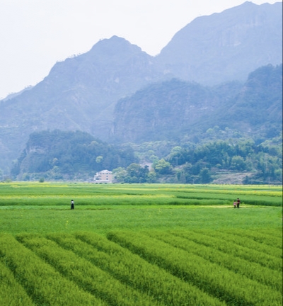 土地亩数计算方法