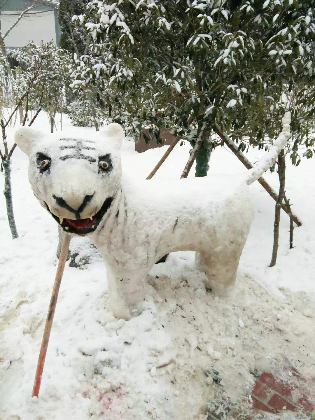 梦到下雪预示了什么？