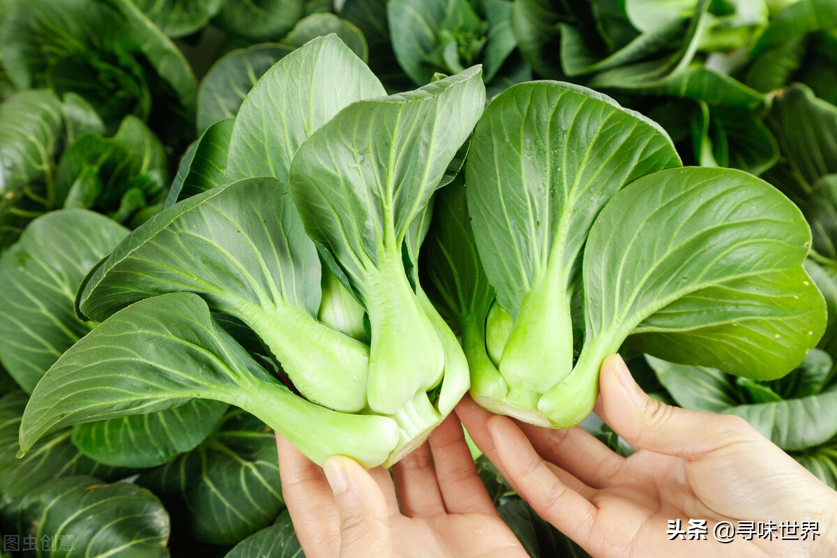 蔬菜要因时而食，记住1到12月应季蔬菜一览表，应季而食身体棒