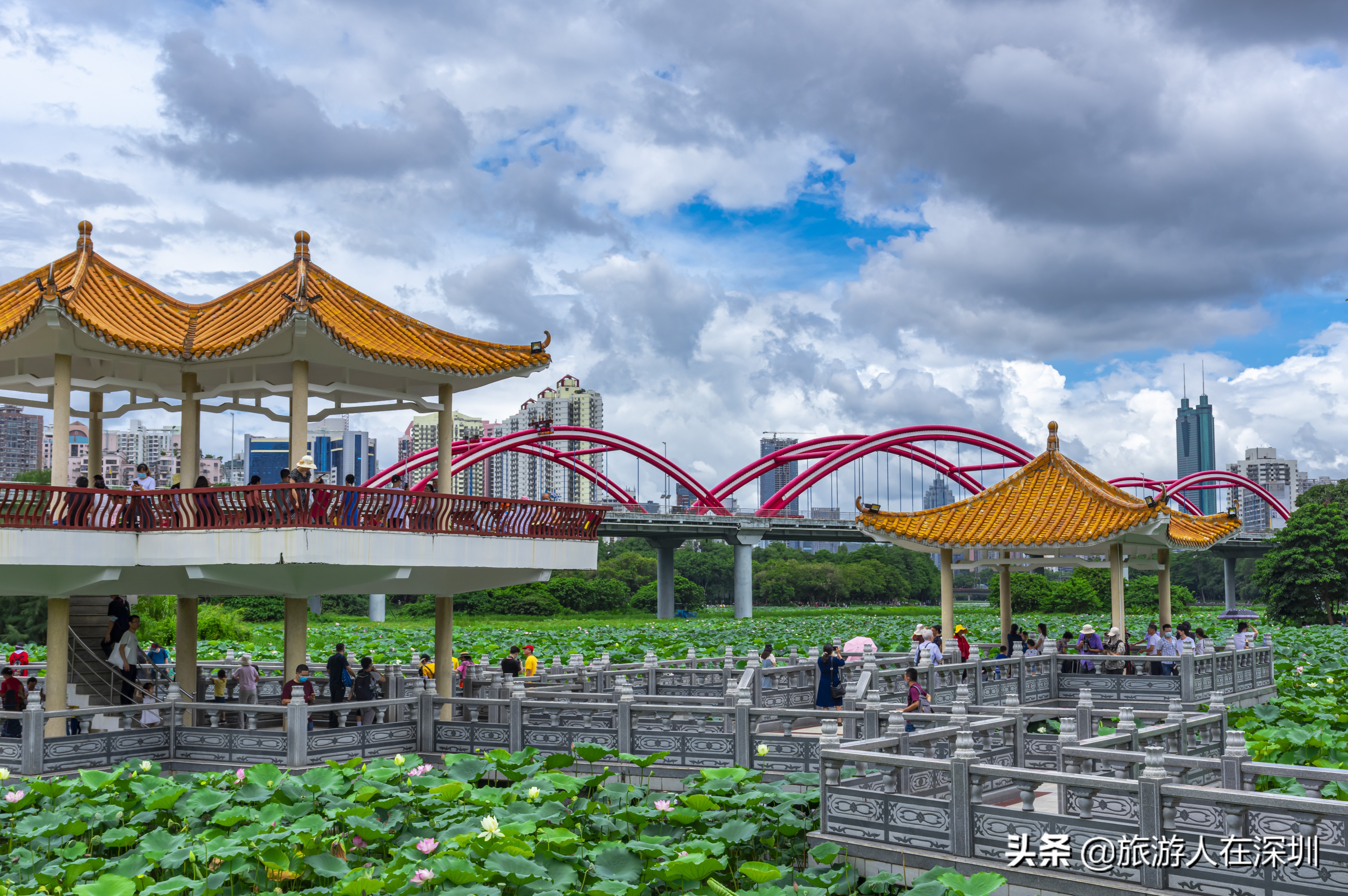 实拍深圳洪湖公园，作为一个网红生态公园，是休闲娱乐的最佳去处