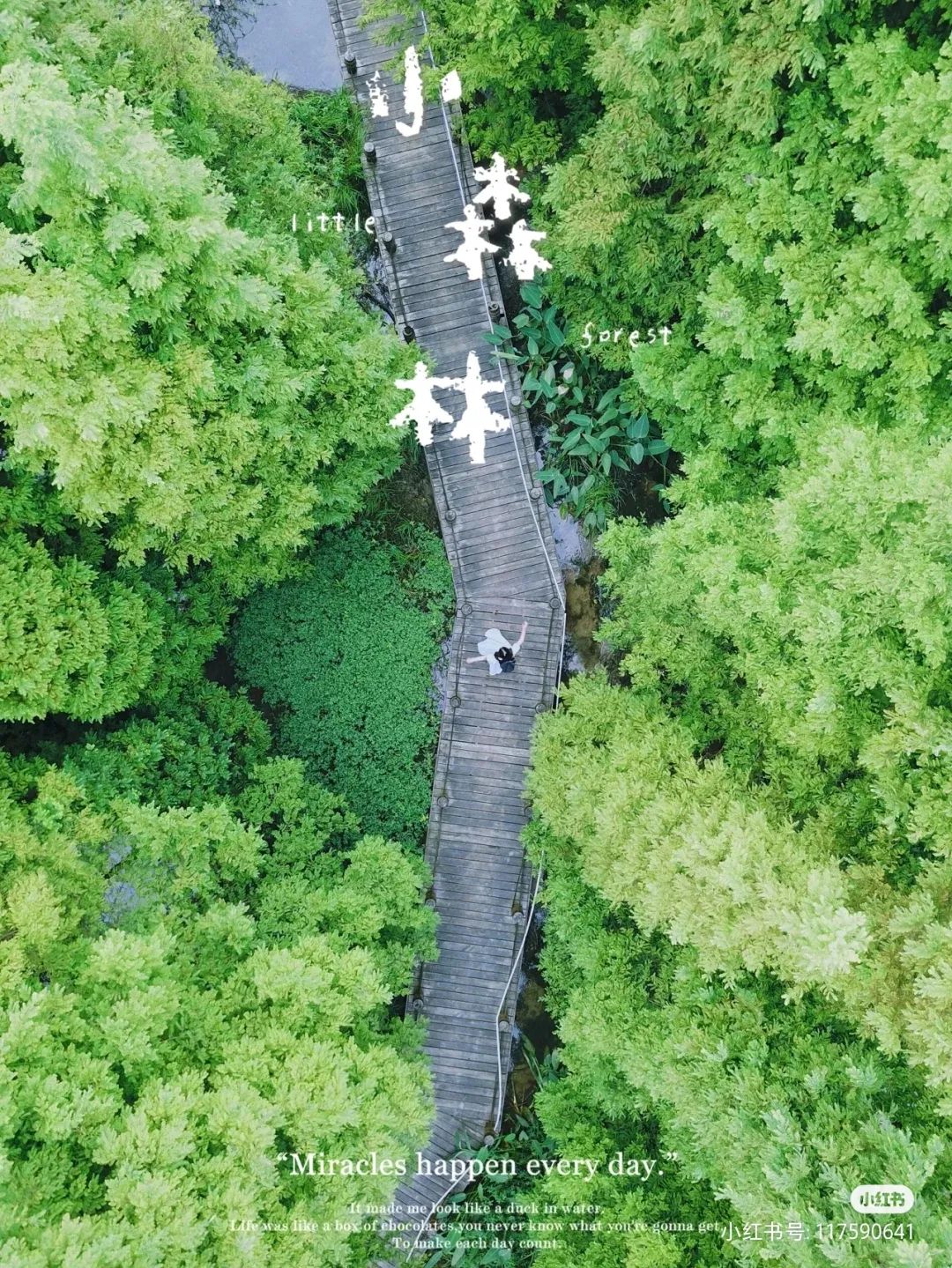 成都周边10处踏青好耍地！徒步吸氧赏花，全都免费