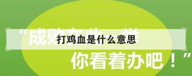 打鸡血是什么意思(网络用语突然像打了鸡血一样)