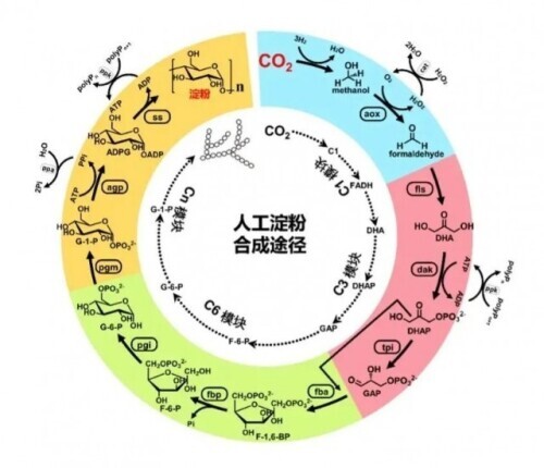 重磅！2021年度中国科学十大进展公布