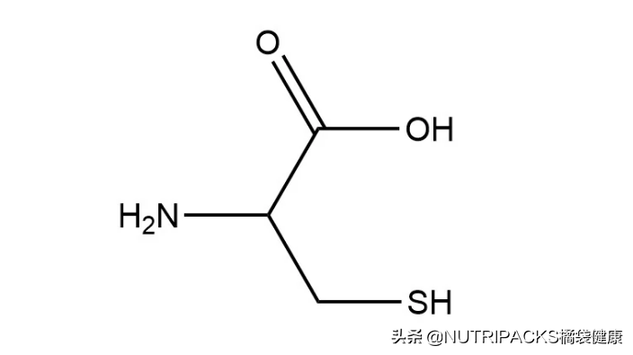 半胱氨酸的主要食物来源和营养价值