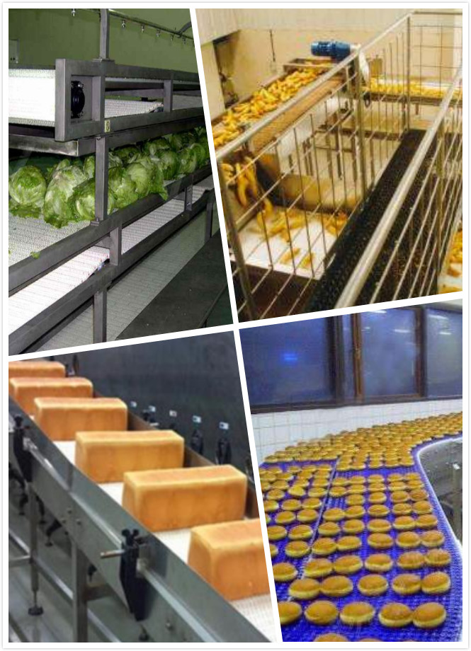不同输送机在食品生产中的应用