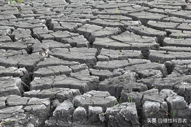 厄尔尼诺是指海水温度的什么现象，飓风、暴雨、干旱威胁人类