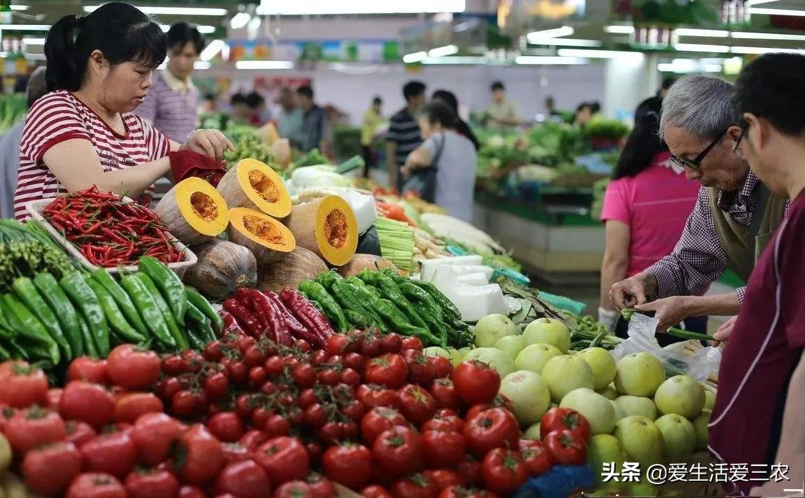 卖菜注意这几点，年入几十万不是梦！