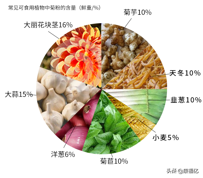 康福亿健康小知识：菊粉是什么，功效与作用如何