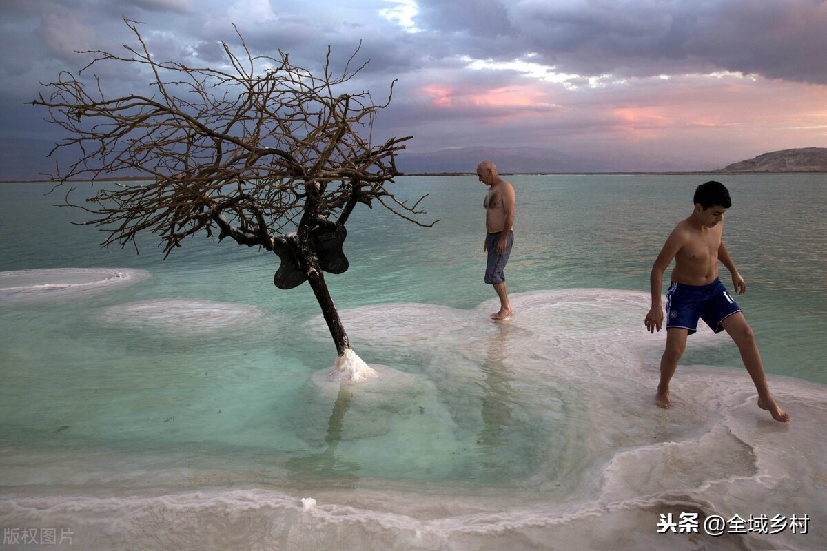 死海为什么叫死海？除了湖水，再也看不到自然存活的生物