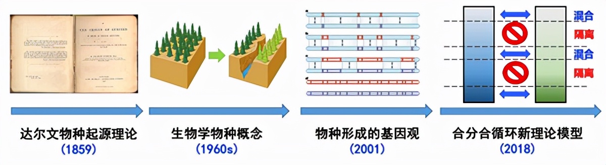 第一个人是怎么来的？最早的人类出现在什么时候？