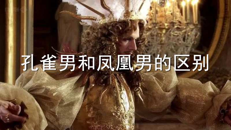 孔雀男和凤凰男有什么区别（“孔雀女、凤凰男、扶弟魔和愚孝者”）