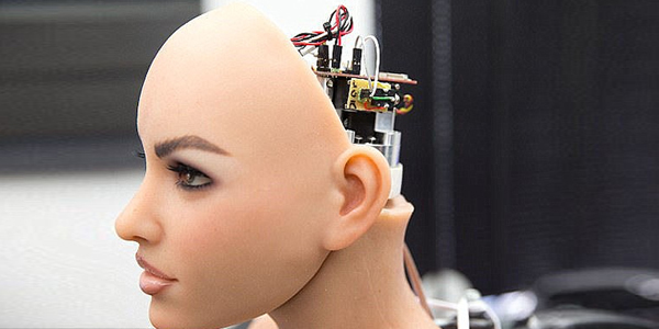 “性机器人”能代替婚姻吗？专家称“性机器人”将引发社会变革