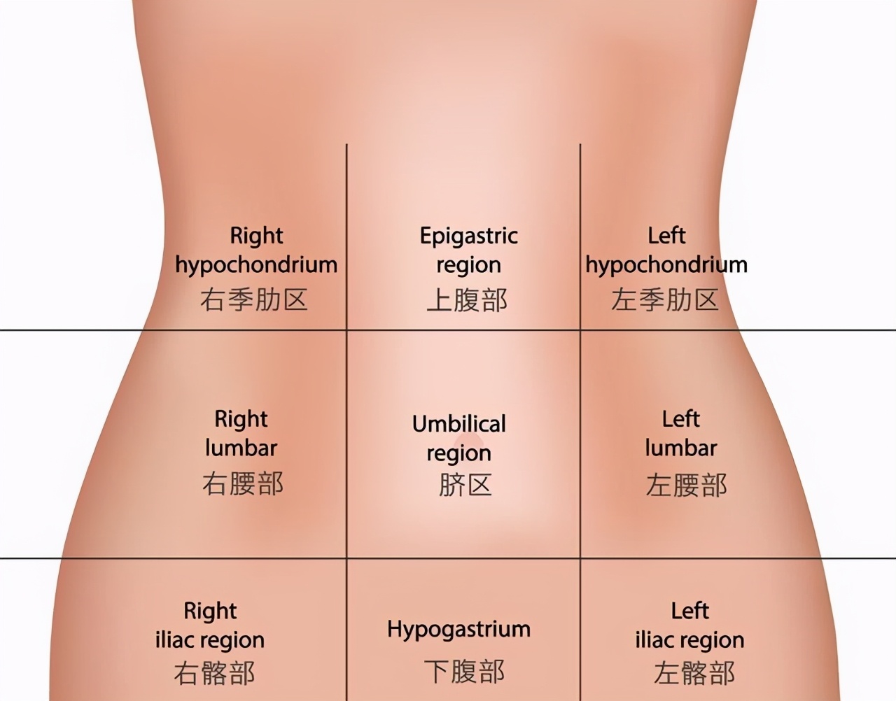 左侧腹部疼痛，是哪些病引起的？去医院要做什么检查？医生告诉您