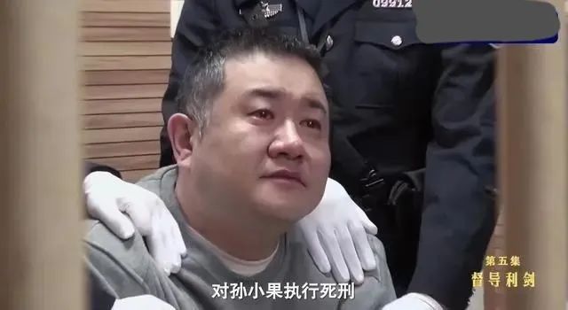 孙鹤予：她是《扫黑风暴》贺芸的原型，被网友叫作“恶魔的母亲”