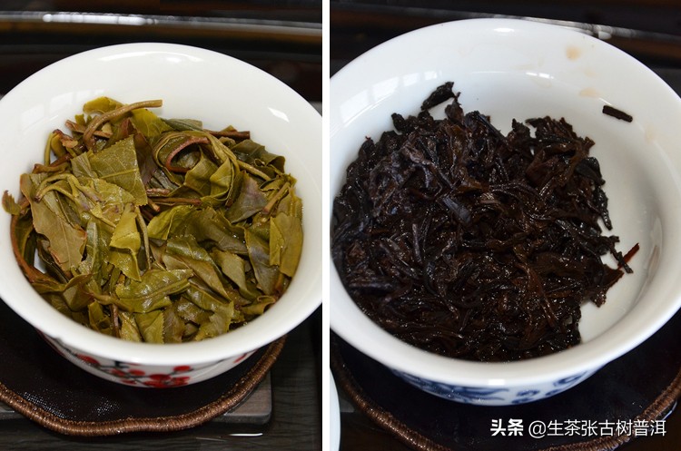 「干货」一分钟教你看懂普洱生茶和熟茶的区别！收藏备用