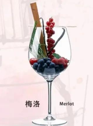 四种国际红葡萄酒的品种和味道。赤霞珠、梅洛、西拉、黑皮诺