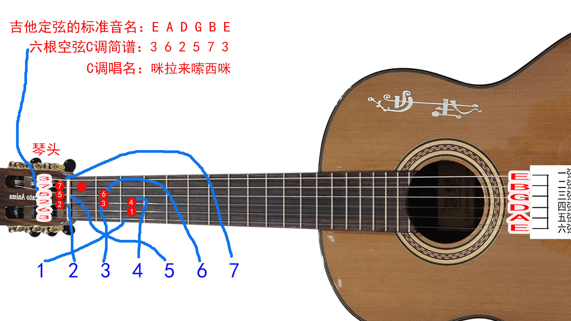 1234567音符对应吉他位置及吉他全品音名指法示意图