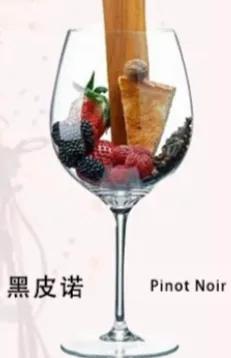 四种国际红葡萄酒的品种和味道。赤霞珠、梅洛、西拉、黑皮诺