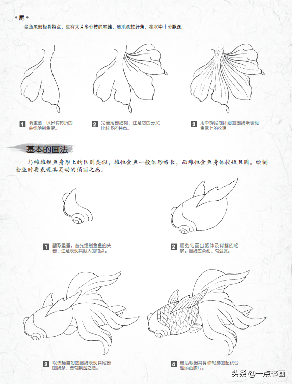 白描玉兰花与桃花画法，简单易上手