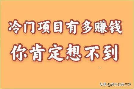 你知道吗？冷门生意才能赚大钱，这些冷门项目值得考虑