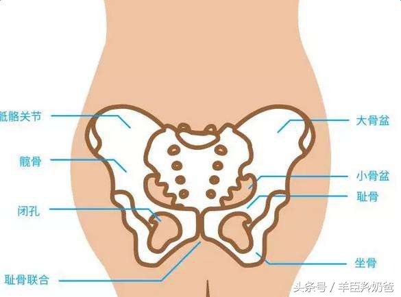耻骨痛到底有多痛？孕妈说：痛到足以怀疑人生！缓解疼痛要这样做