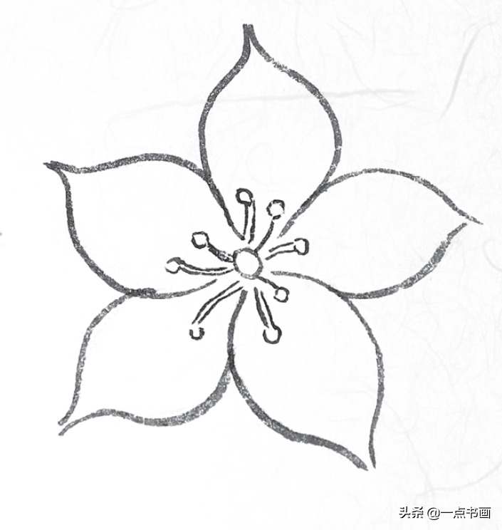 白描玉兰花与桃花画法，简单易上手