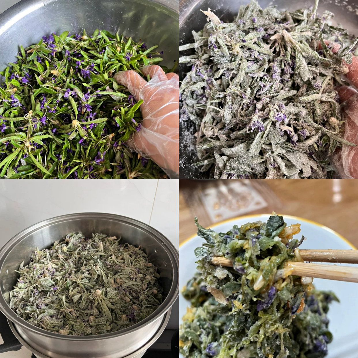 120种野菜介绍，图名并茂，快来认识一下！涨知识不吃亏